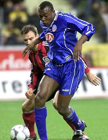 杯中的前景 杯中的前景